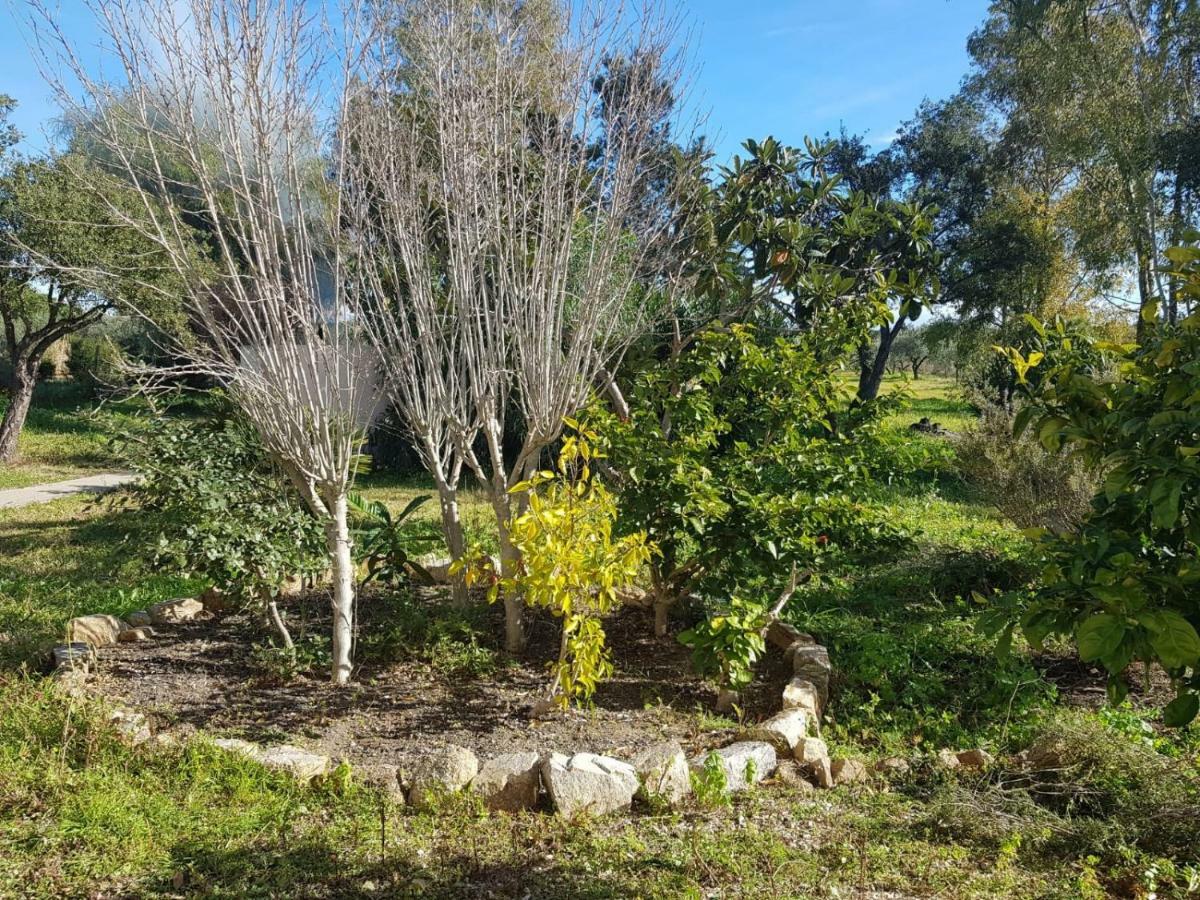 Mimosa Bilocale Cala Liberotto Bagian luar foto
