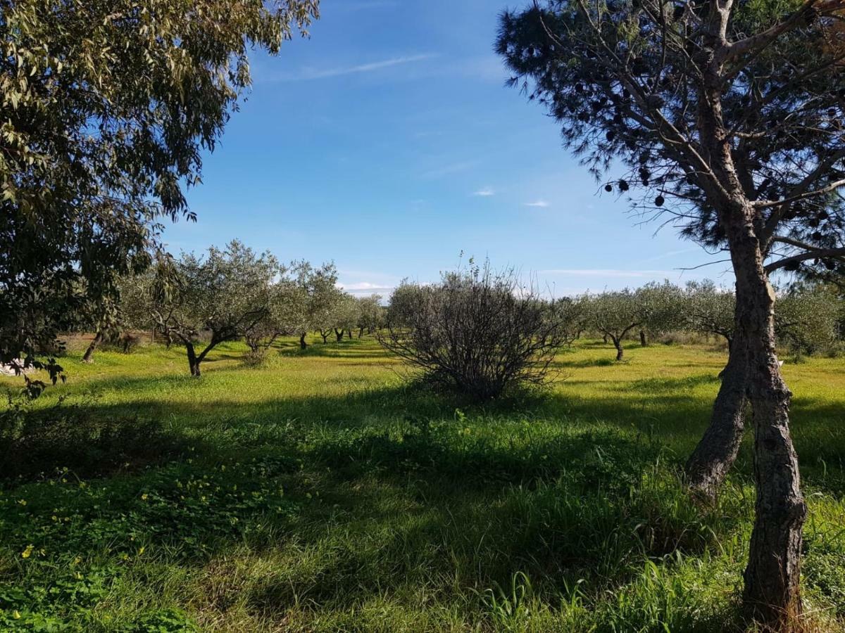 Mimosa Bilocale Cala Liberotto Bagian luar foto