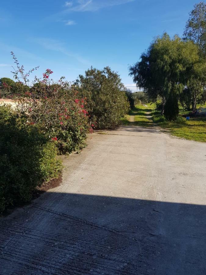 Mimosa Bilocale Cala Liberotto Bagian luar foto