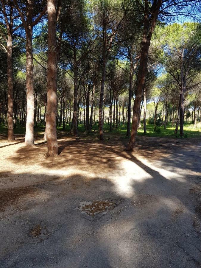 Mimosa Bilocale Cala Liberotto Bagian luar foto