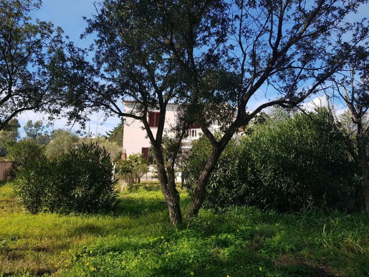 Mimosa Bilocale Cala Liberotto Bagian luar foto