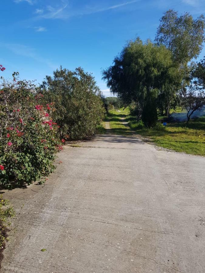 Mimosa Bilocale Cala Liberotto Bagian luar foto